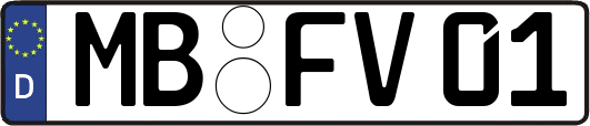MB-FV01
