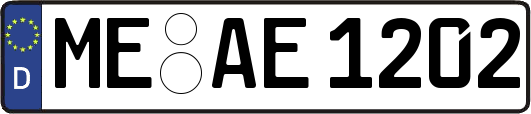 ME-AE1202