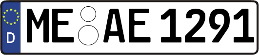 ME-AE1291