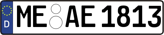 ME-AE1813