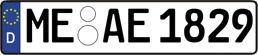 ME-AE1829