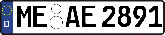 ME-AE2891