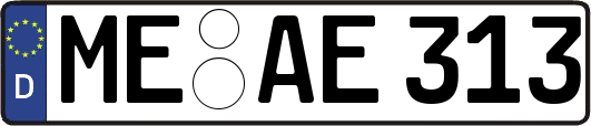ME-AE313