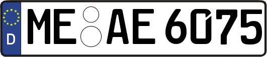 ME-AE6075