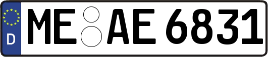 ME-AE6831