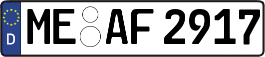 ME-AF2917