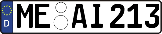 ME-AI213