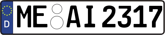 ME-AI2317