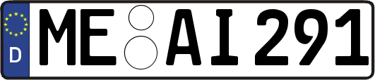 ME-AI291