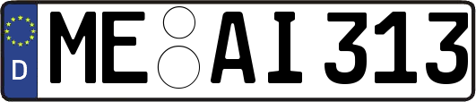 ME-AI313
