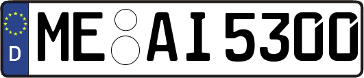 ME-AI5300