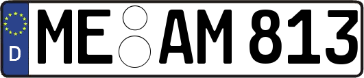 ME-AM813