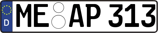 ME-AP313