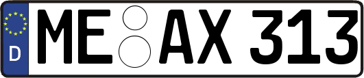 ME-AX313