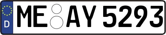 ME-AY5293