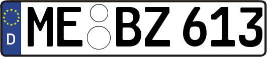 ME-BZ613