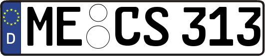 ME-CS313