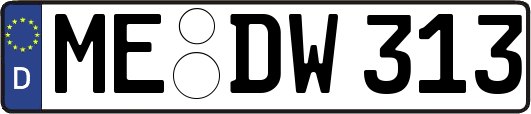 ME-DW313