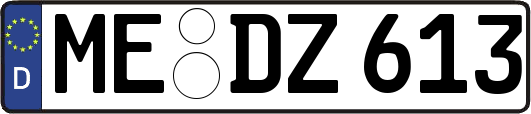ME-DZ613