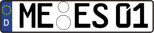 ME-ES01