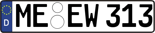 ME-EW313