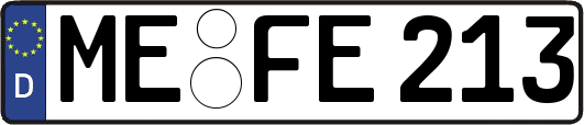 ME-FE213