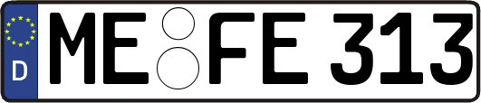ME-FE313