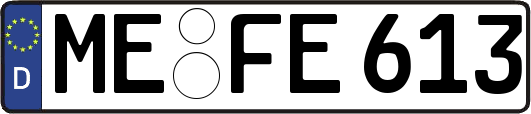 ME-FE613