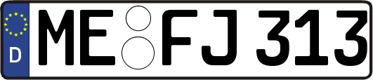 ME-FJ313