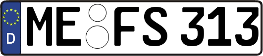 ME-FS313