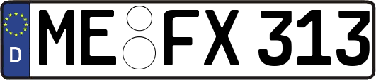 ME-FX313