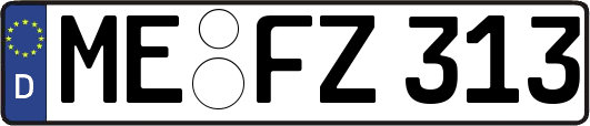 ME-FZ313