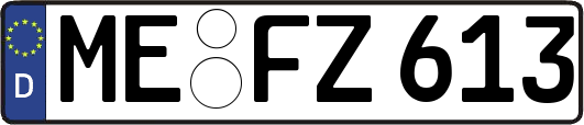 ME-FZ613