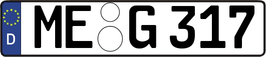 ME-G317