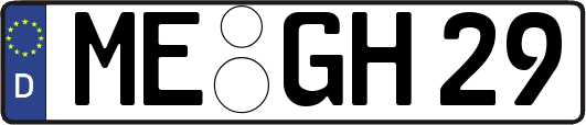 ME-GH29