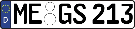 ME-GS213