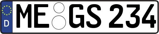 ME-GS234