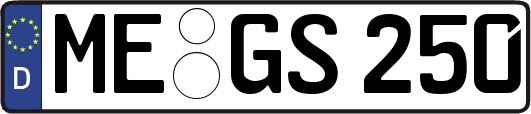 ME-GS250
