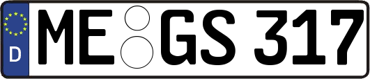 ME-GS317