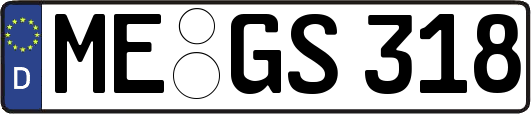 ME-GS318