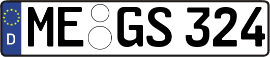 ME-GS324