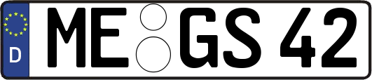 ME-GS42