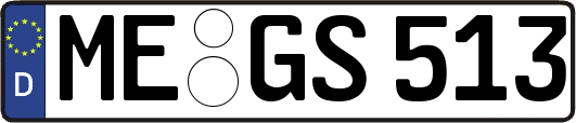 ME-GS513