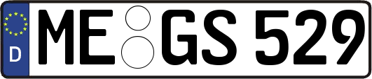 ME-GS529