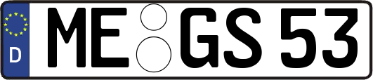 ME-GS53