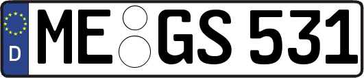 ME-GS531