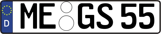 ME-GS55