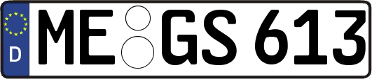 ME-GS613