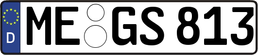 ME-GS813