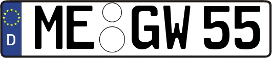 ME-GW55
